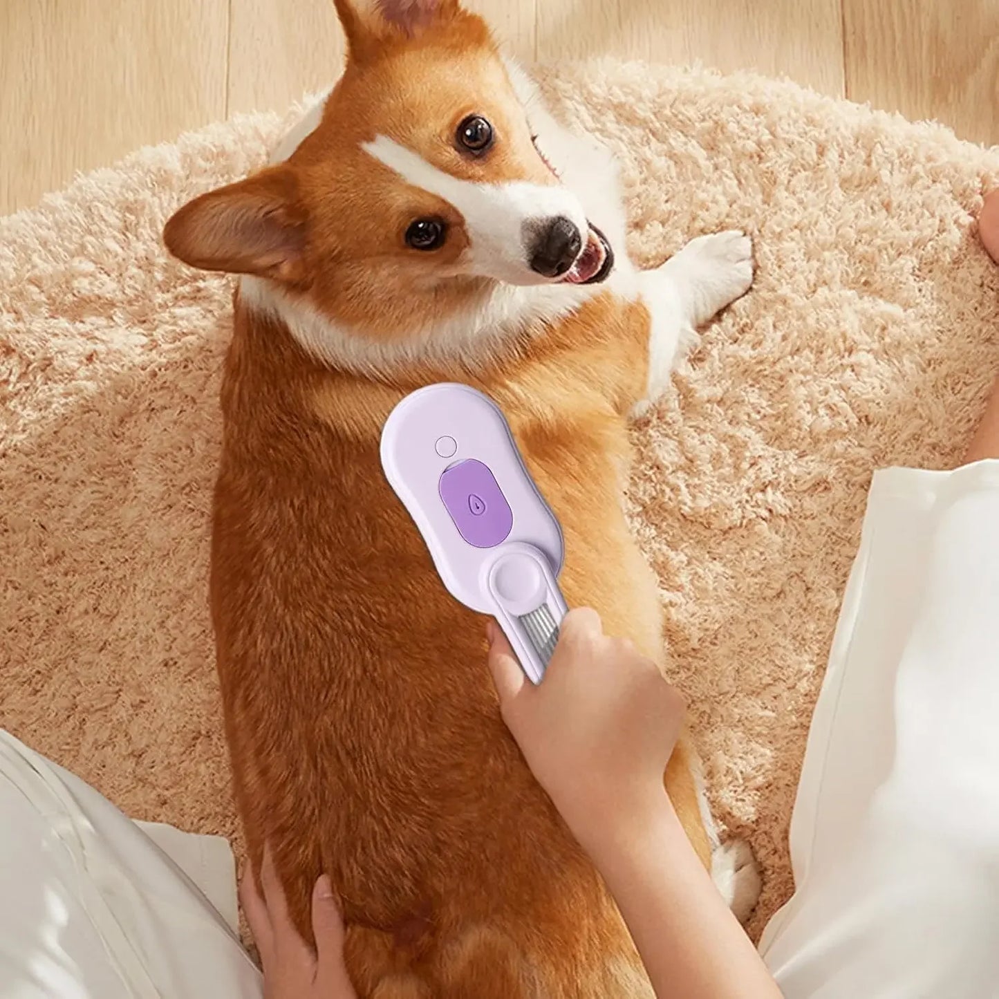 3-in-1 Cat & Dog Steam Brush – Electric Pet Hair Grooming Brush for Massage, Detangling & Removing Loose Hair